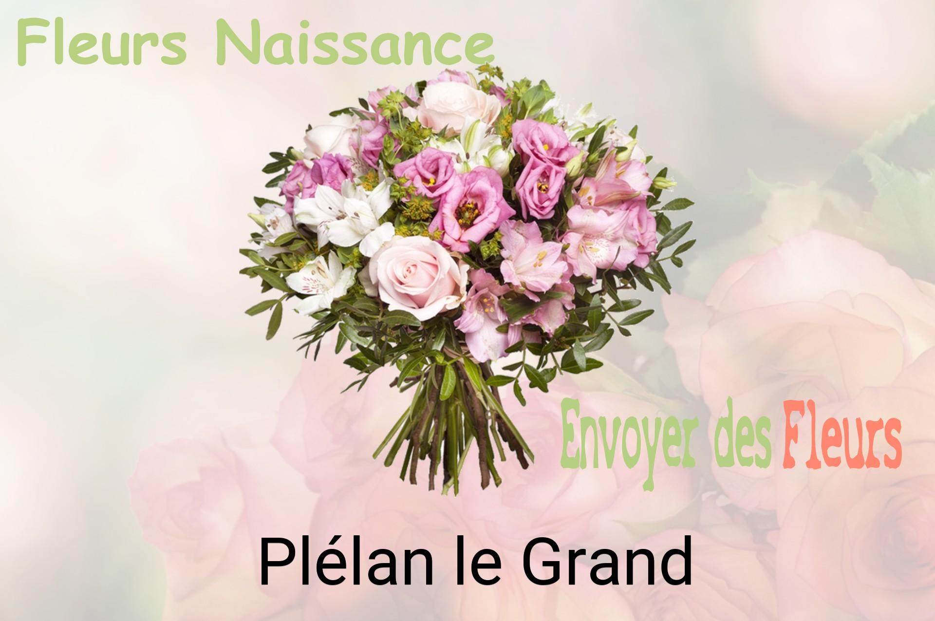 Bouquet de fleurs de naissance livré à Plélan-le-Grand