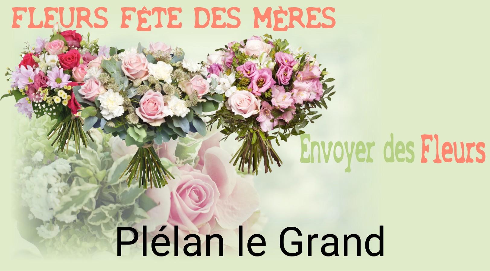 Bouquet de Fête des Mères livré à Plélan-le-Grand